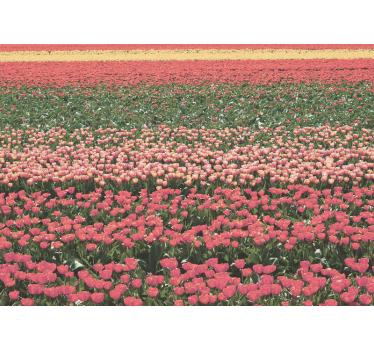 Different kind of flower field mural wallpaper - TenStickers
