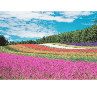 Very colourful flower field mural wallpaper - TenStickers