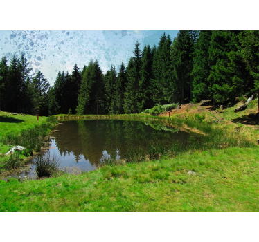 Green field, trees and lake nature murals - TenStickers