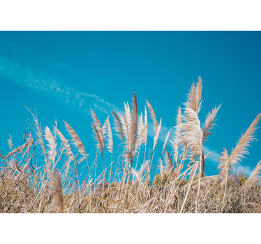 Flower wall mural pampas grass serenity - TenStickers