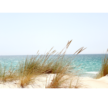 Beach cane grass nature murals - TenStickers
