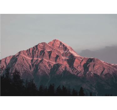 Natural aesthetic photography nature murals - TenStickers