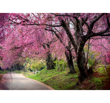 Flower wall mural blossom path - TenStickers