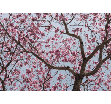Flower wall mural cherry blossom stem - TenStickers