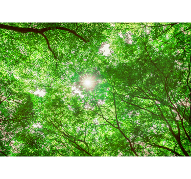 Nature wall mural canopy tree perspective - TenStickers