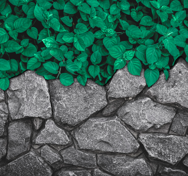 Leaves and stones natural design room wall mural - TenStickers