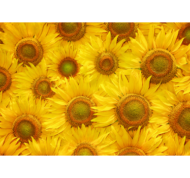 Yellow Sunflowers Living Room Wall Mural Decor - TenStickers