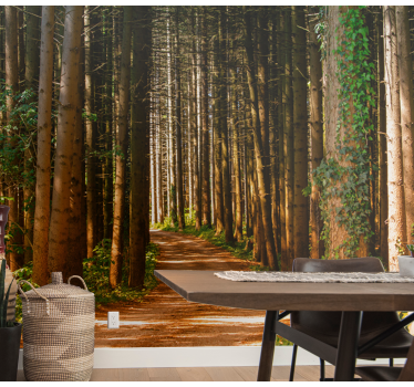 3D forest path nature murals - TenStickers