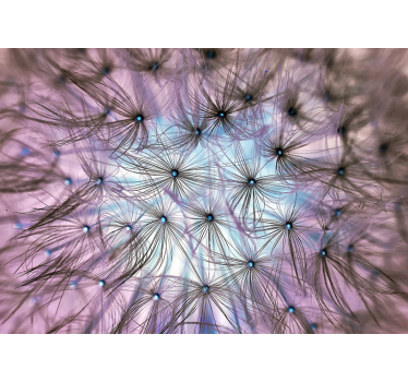 Inside Dandelion flower wall mural - TenStickers