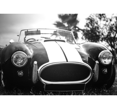 Vintage race car vehicle photo wallpaper - TenStickers