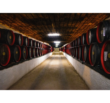 Rustic Winery 3d mural wallpaper - TenStickers