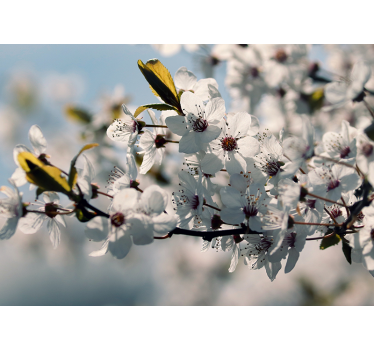 Sakura Blossom Stem flower wall mural - TenStickers
