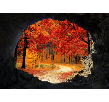 Forest views in autumn from cave nature murals - TenStickers