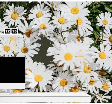 Daisy painted meadow mural wallpaper - TenStickers