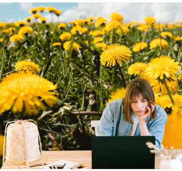 Dandelion yellow field Poppy Wallpaper Photo - TenStickers