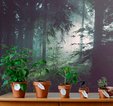 Deep light green forest mural wallpaper - TenStickers