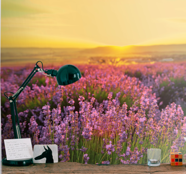 Flower wall mural lavender meadow at dusk - TenStickers
