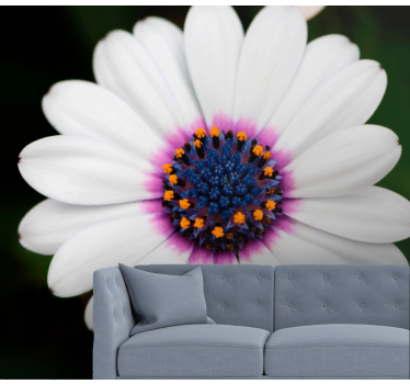 Flower wall mural white flower blossom - TenStickers