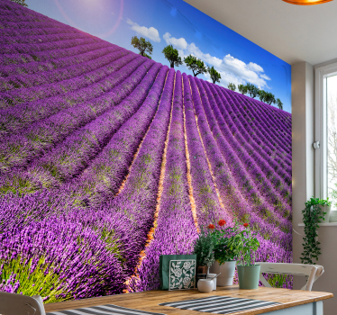 Lavender field mural wallpaper - TenStickers