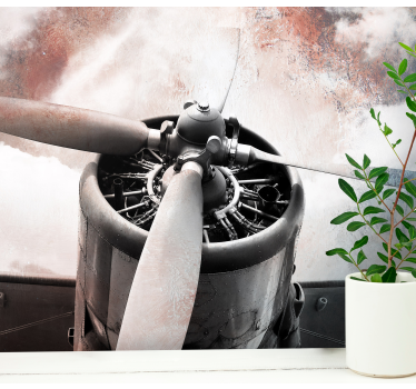 Old airplane  vintage mural - TenStickers