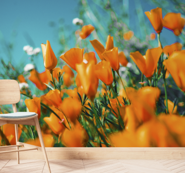 Orange flower field mural wallpaper - TenStickers