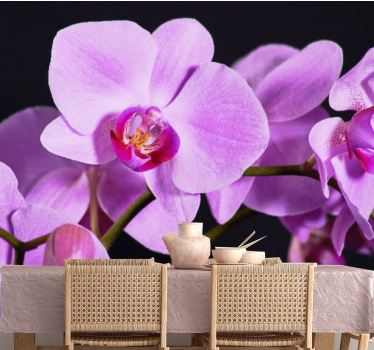 Orchid wall mural graceful orchid blossoms - TenStickers