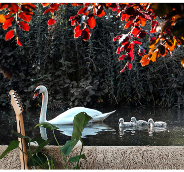 Polish swans mural wallpaper - TenStickers