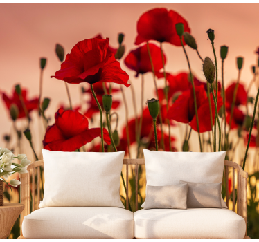 Poppies with a sunset Poppy Wallpaper Photo - TenStickers
