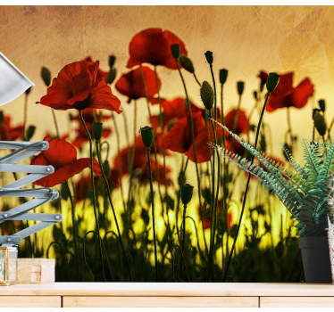 Poppy wall mural poppy flower bloom - TenStickers