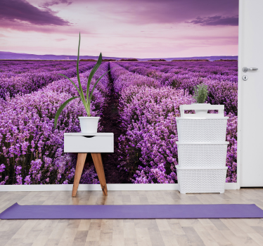 Provence lavender mural wallpaper - TenStickers