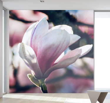 Spring Magnolia flower wall mural - TenStickers