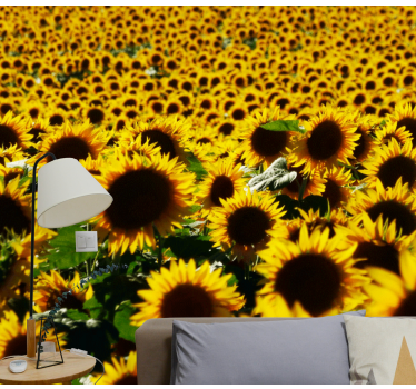 Sunflower field close flower mural wallpaper - TenStickers