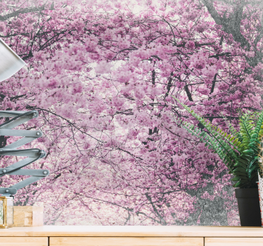 Vibrant cherry blossom trees mural wallpaper - TenStickers