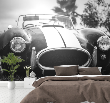 Vintage race car vehicle photo wallpaper - TenStickers