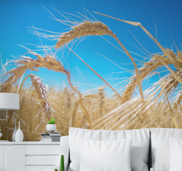 Wheat field nature murals - TenStickers