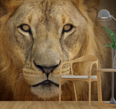 Wild lion Dining Room Wall Mural - TenStickers