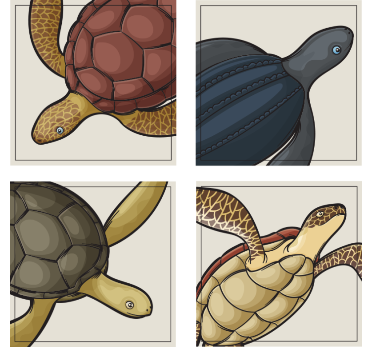 Geek coasters with vibrant turtle artwork - TenStickers