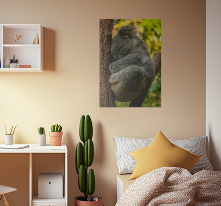 Koala sleeping poster for teenager - TenStickers