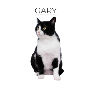 personalized minimalist animal poster - TenStickers