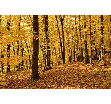 Forest in autumn photo realistic poster - TenStickers