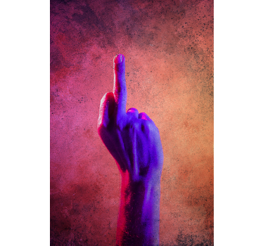 Poster for teenager f*ck you - TenStickers