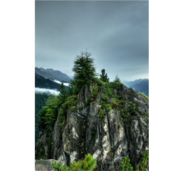 Living room poster single rock in green forest - TenStickers