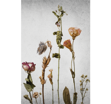 Flowers poster dried flower arrangement print - TenStickers