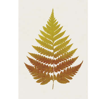 Golden Fern Leaf Poster Wall - TenStickers