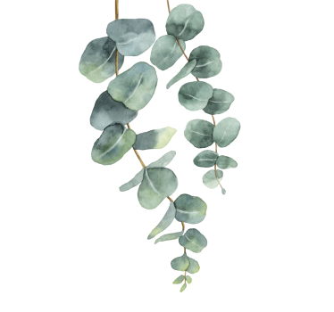 Eucalyptus twigs tree poster - TenStickers