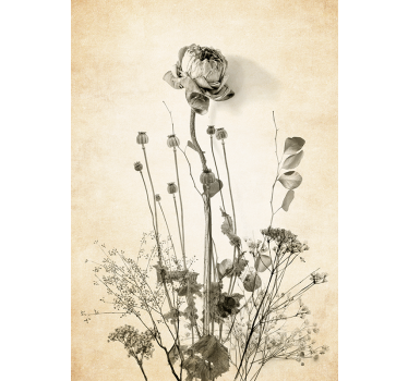 Bouquet of flowers sepia tones flower wall poster - TenStickers