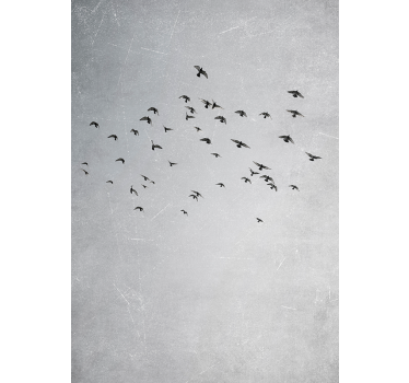 Birds flying animal design bedroom wall poster - TenStickers