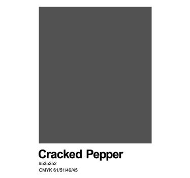 Cracked pepper monocolor design living room wall art poster - TenStickers