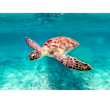 Sea ​​turtle oceanic design wall art poster - TenStickers