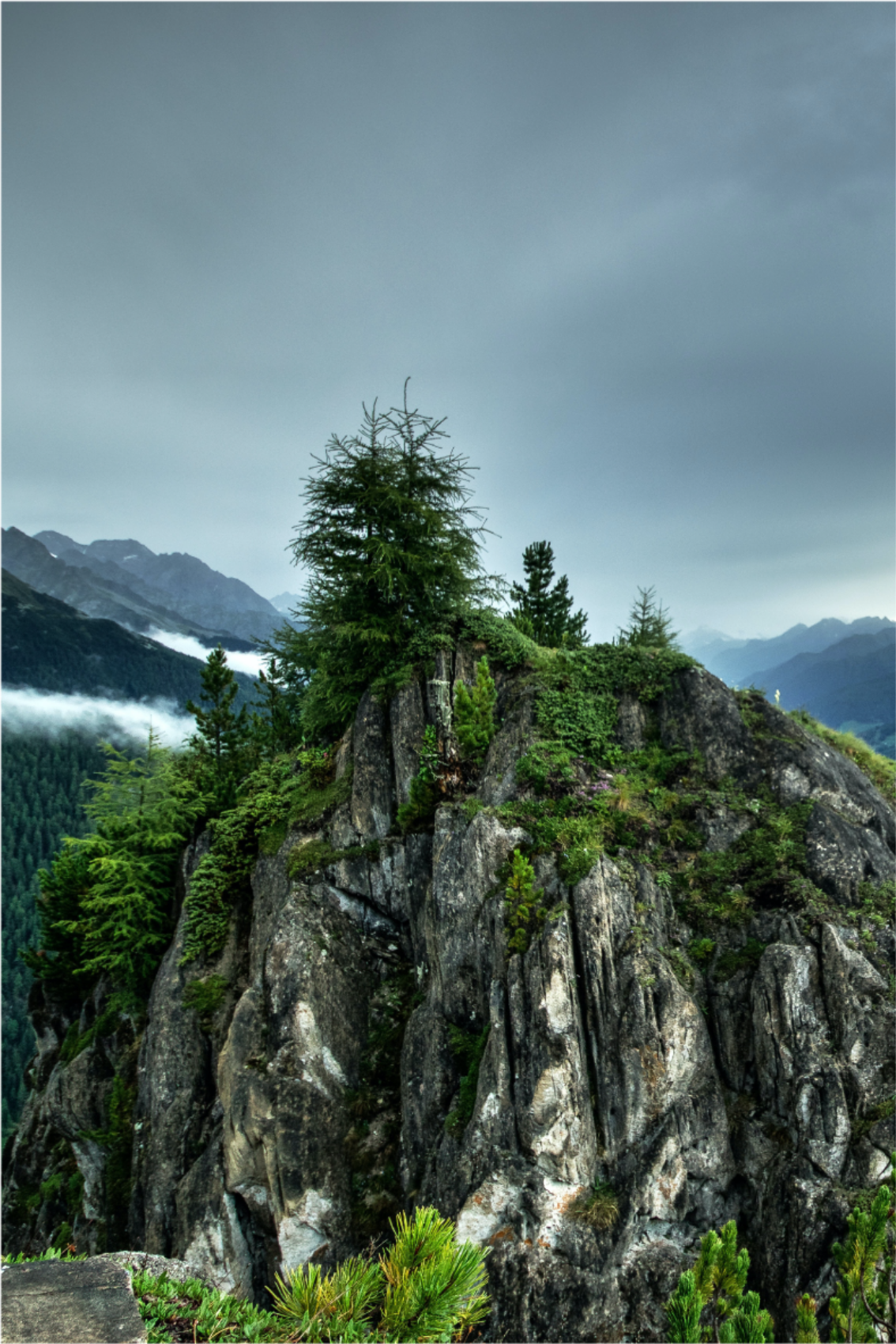 Living room poster single rock in green forest - TenStickers